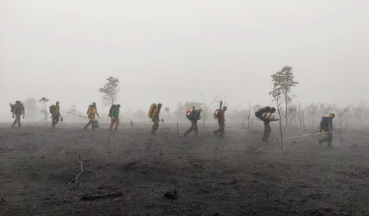 Na foto, brigadistas apagam incêndio em floresta.